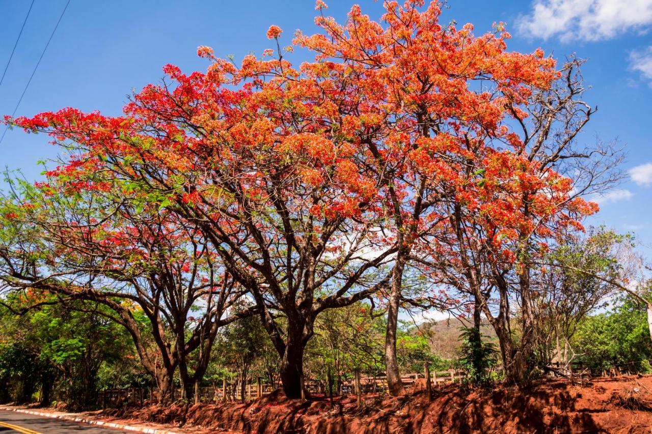 Pousada Country Santana'S Ranch Sao Pedro  Extérieur photo